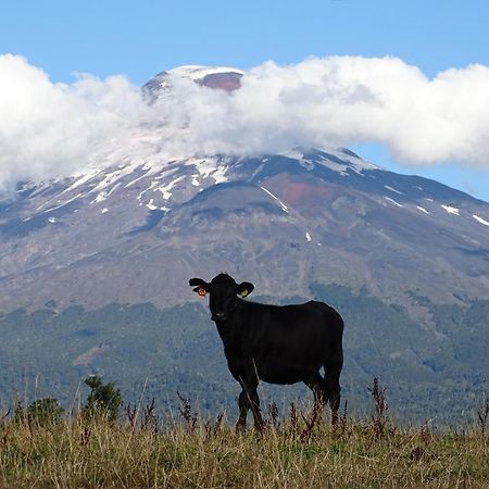 La Posada Del Colono Puerto Clocker Екстер'єр фото