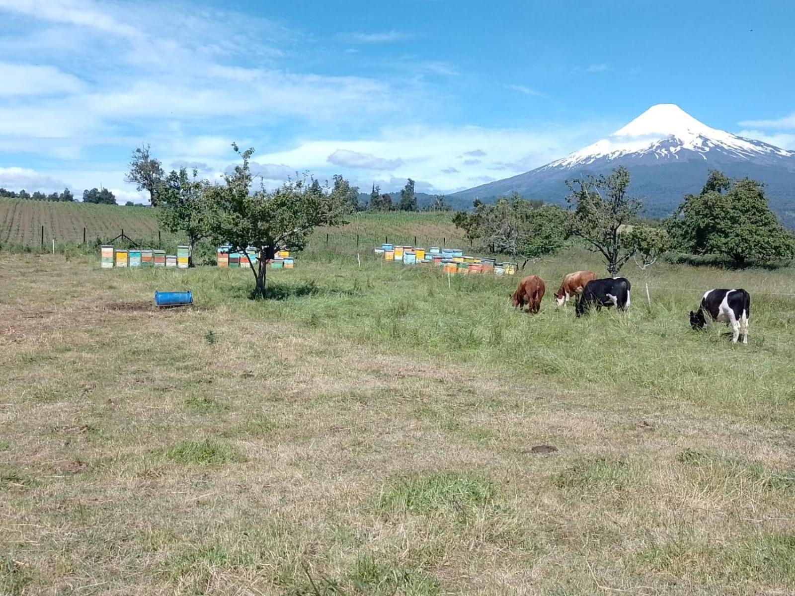 La Posada Del Colono Puerto Clocker Екстер'єр фото